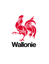 Logo L'ANM survivra-t-il à la crise politique ?