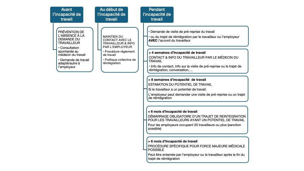Trajet de réintégration schéma